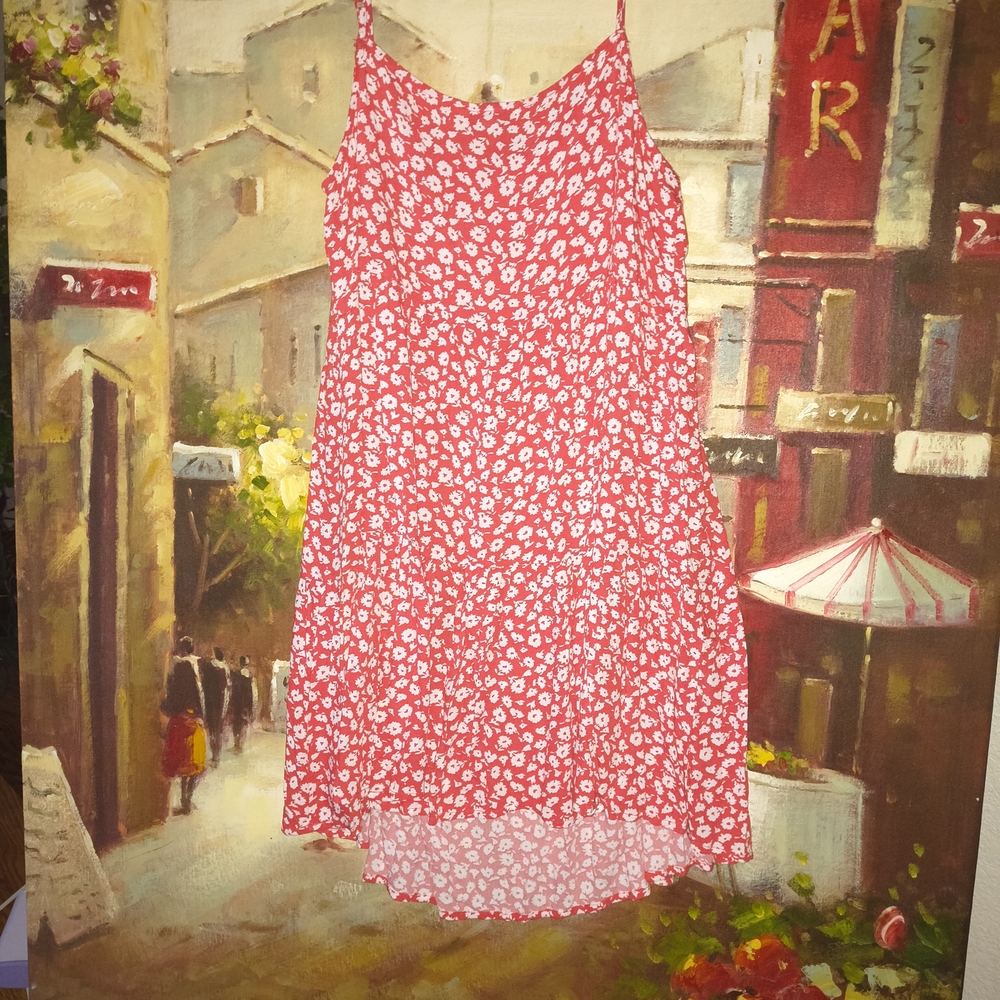 American Eagle Dress